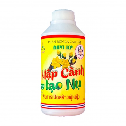 MẬP CÀNH TẠO NỤ MAI